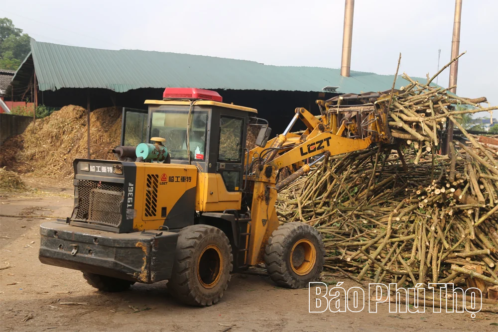 Phát triển nghề chế biến gỗ ở Tây Cốc