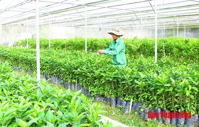 Điểm lại những chủ trương, cơ chế, chính sách phát triển khoa học và công nghệ