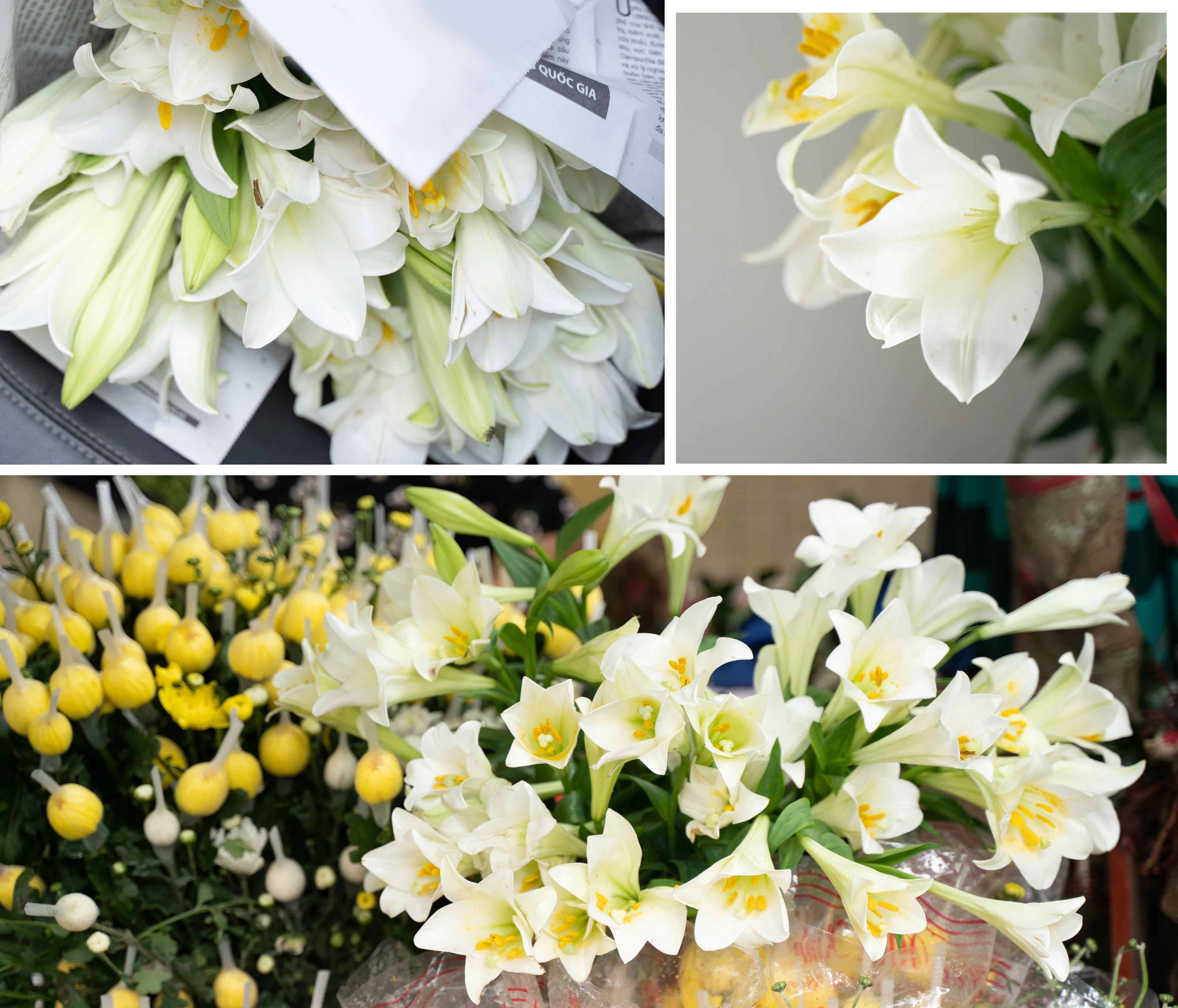 [E-Magazine] - Lắng lòng trong khúc mùa sang