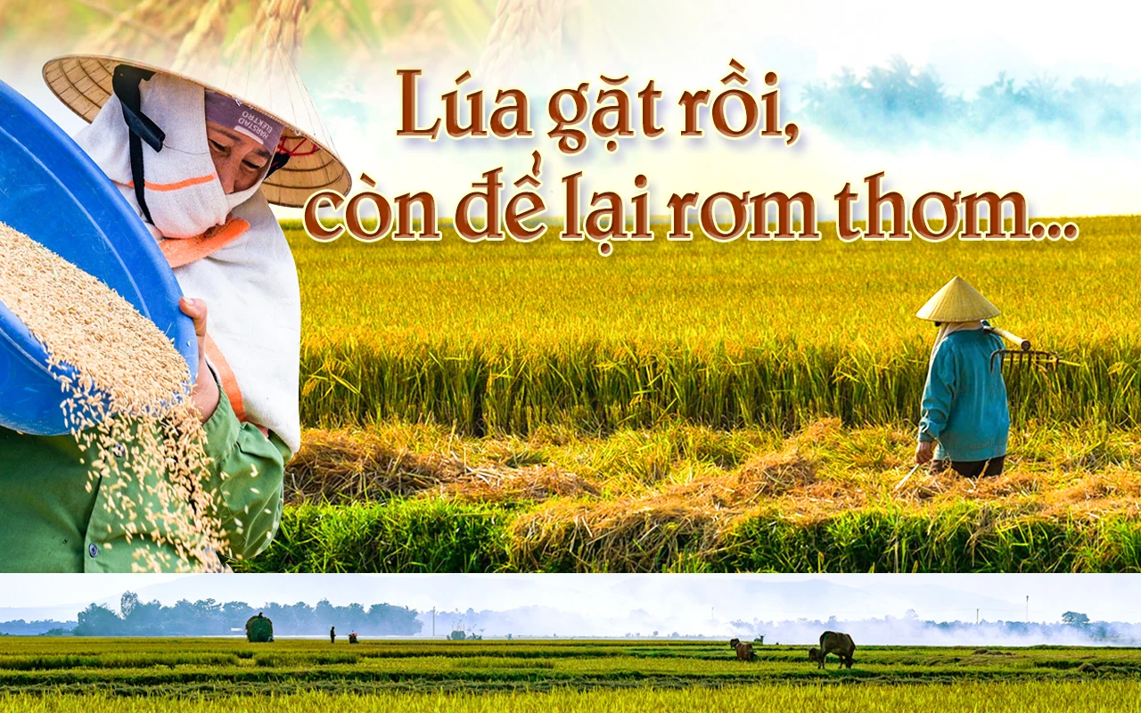 [E-Magazine] - Lúa gặt rồi, còn để lại rơm thơm…