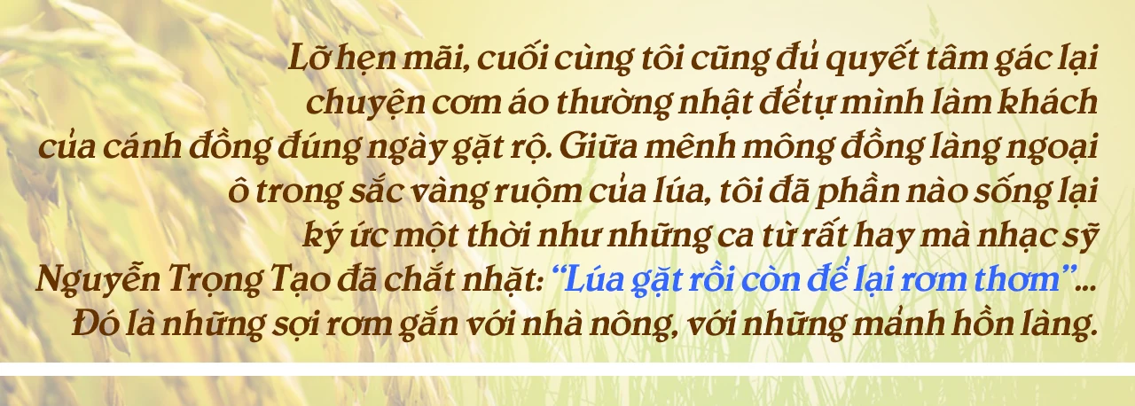 [E-Magazine] - Lúa gặt rồi, còn để lại rơm thơm…