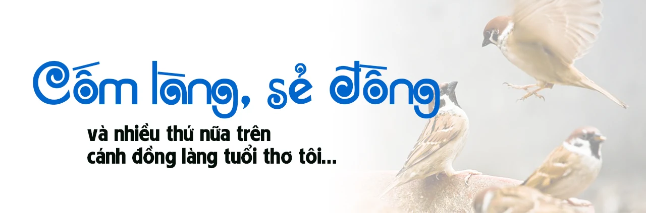 [E-Magazine] - Lúa gặt rồi, còn để lại rơm thơm…