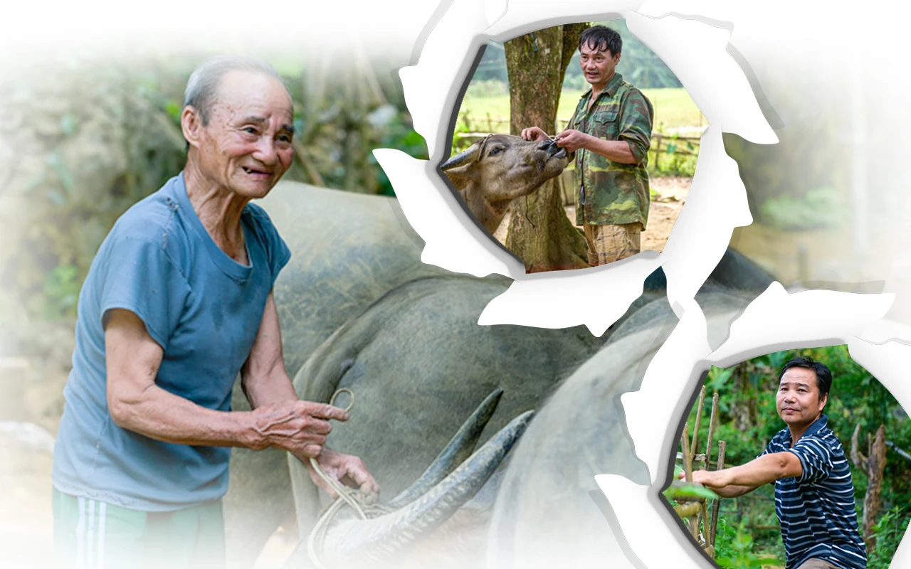 [E-Magazine] - Sống đời bình lặng trên đỉnh Thác Mây