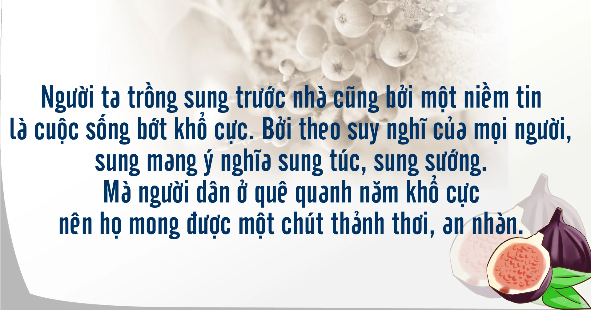 [E-Magazine] - Những mùa sung thương nhớ...
