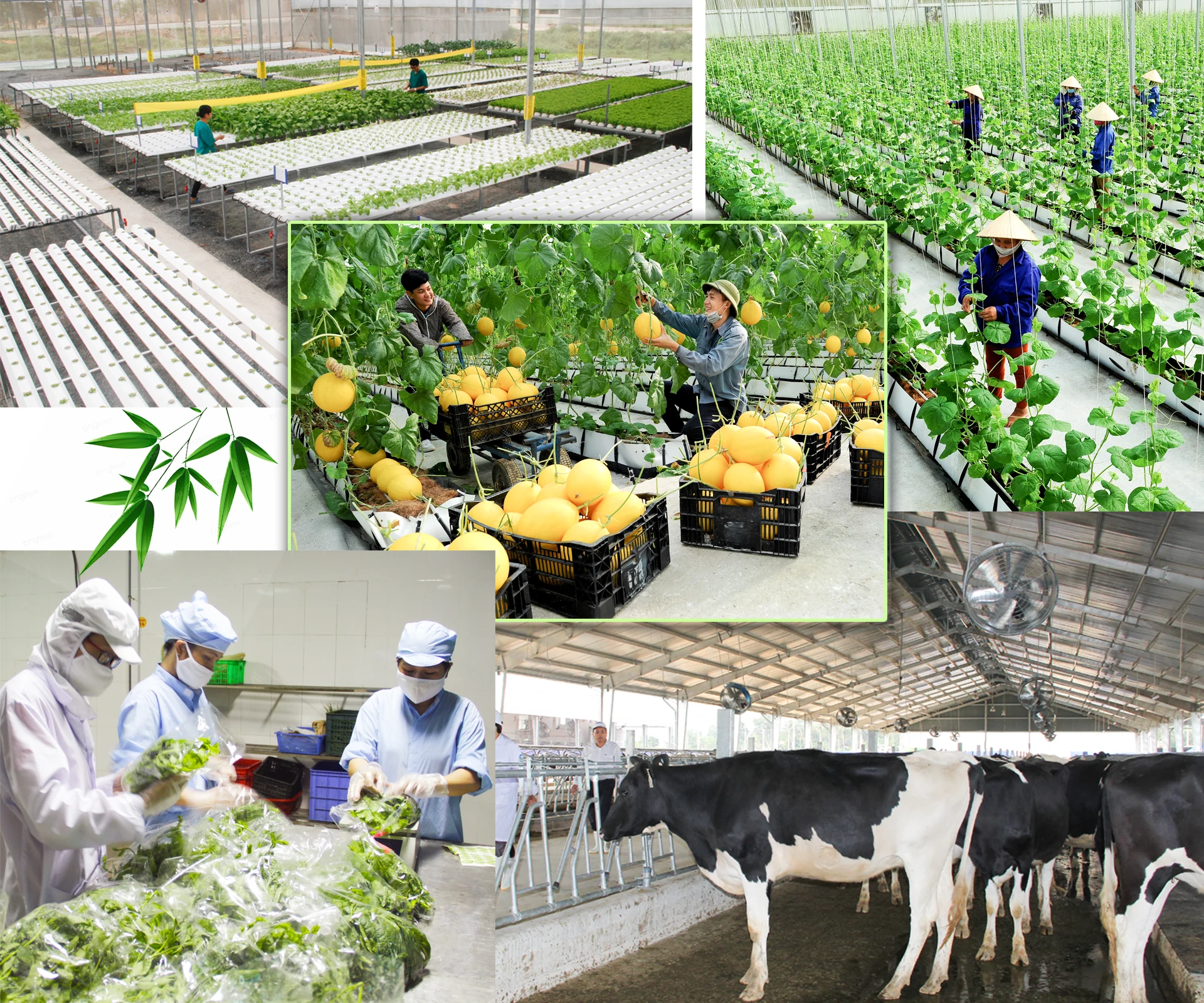 [E-Magazine] - “Thời kỳ vàng” thu hút đầu tư của Thanh Hóa