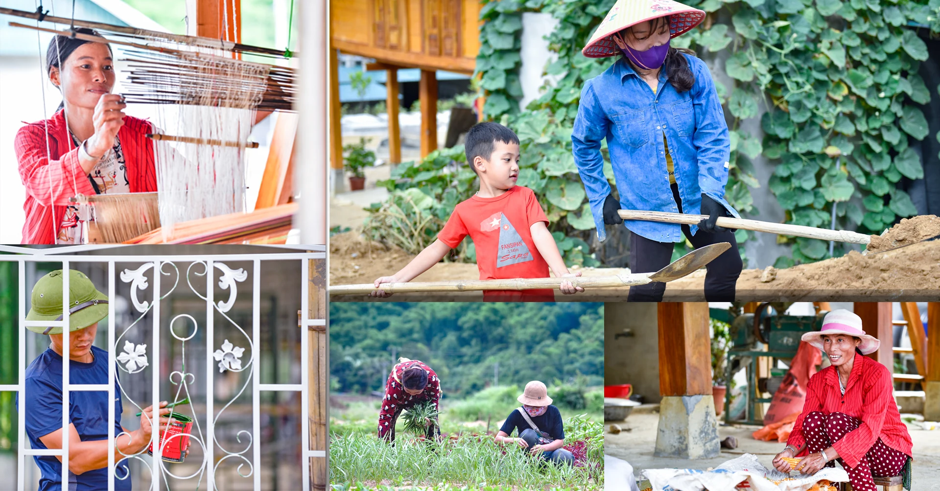 [E-Magazine] - Sa Ná hồi sinh sau lũ: Hoa đã nở trên đỉnh đồi Pom Ngồ