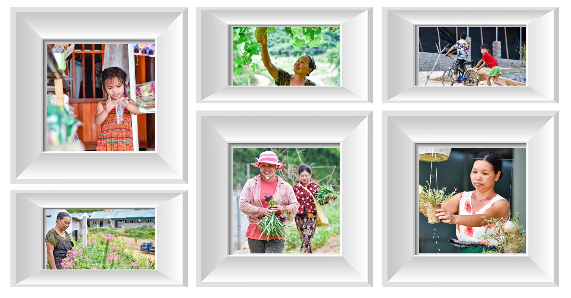 [E-Magazine] - Sa Ná hồi sinh sau lũ: Hoa đã nở trên đỉnh đồi Pom Ngồ