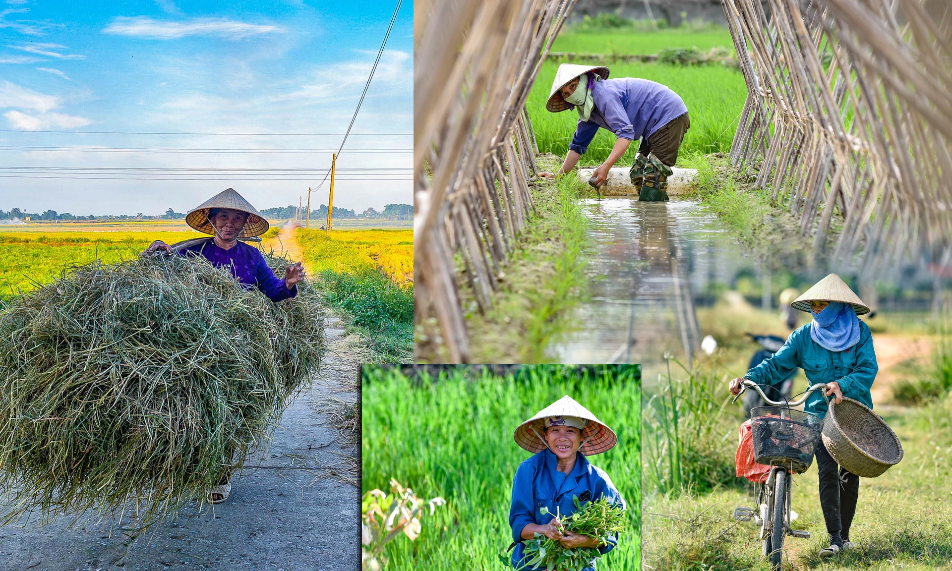 [E-Magazine] - Xúc cảm tháng Bảy