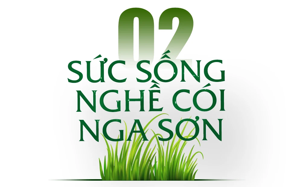 [E-Magazine] - Sắc cói xứ Thanh