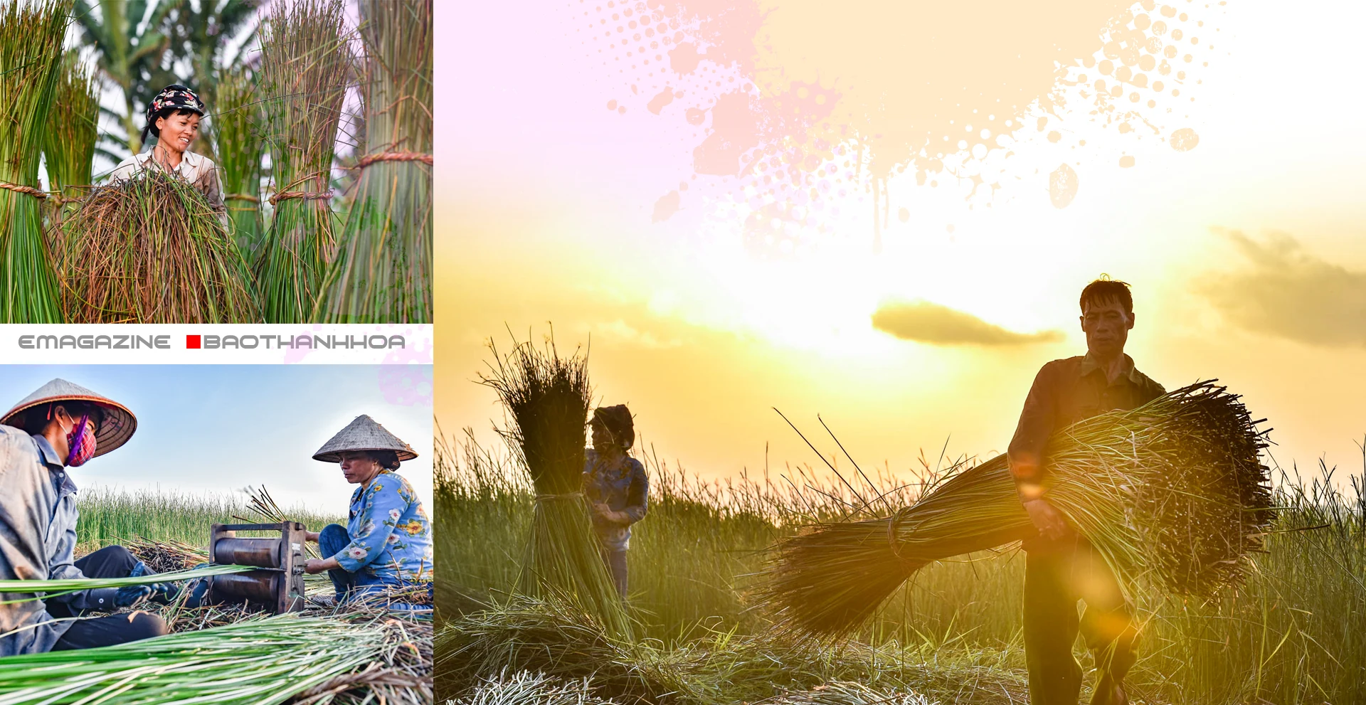 [E-Magazine] - Sắc cói xứ Thanh