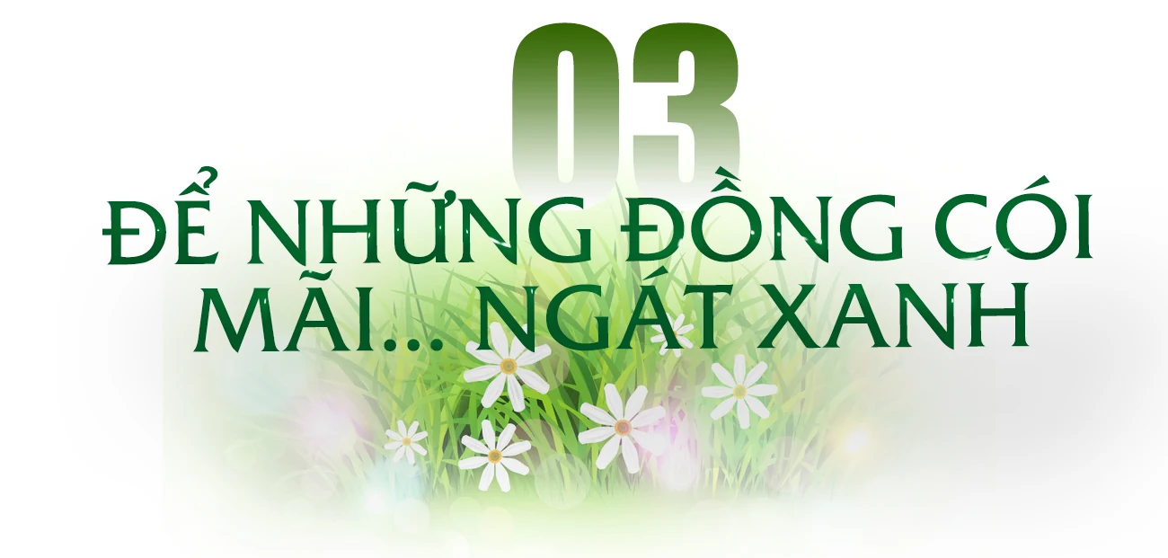 [E-Magazine] - Sắc cói xứ Thanh