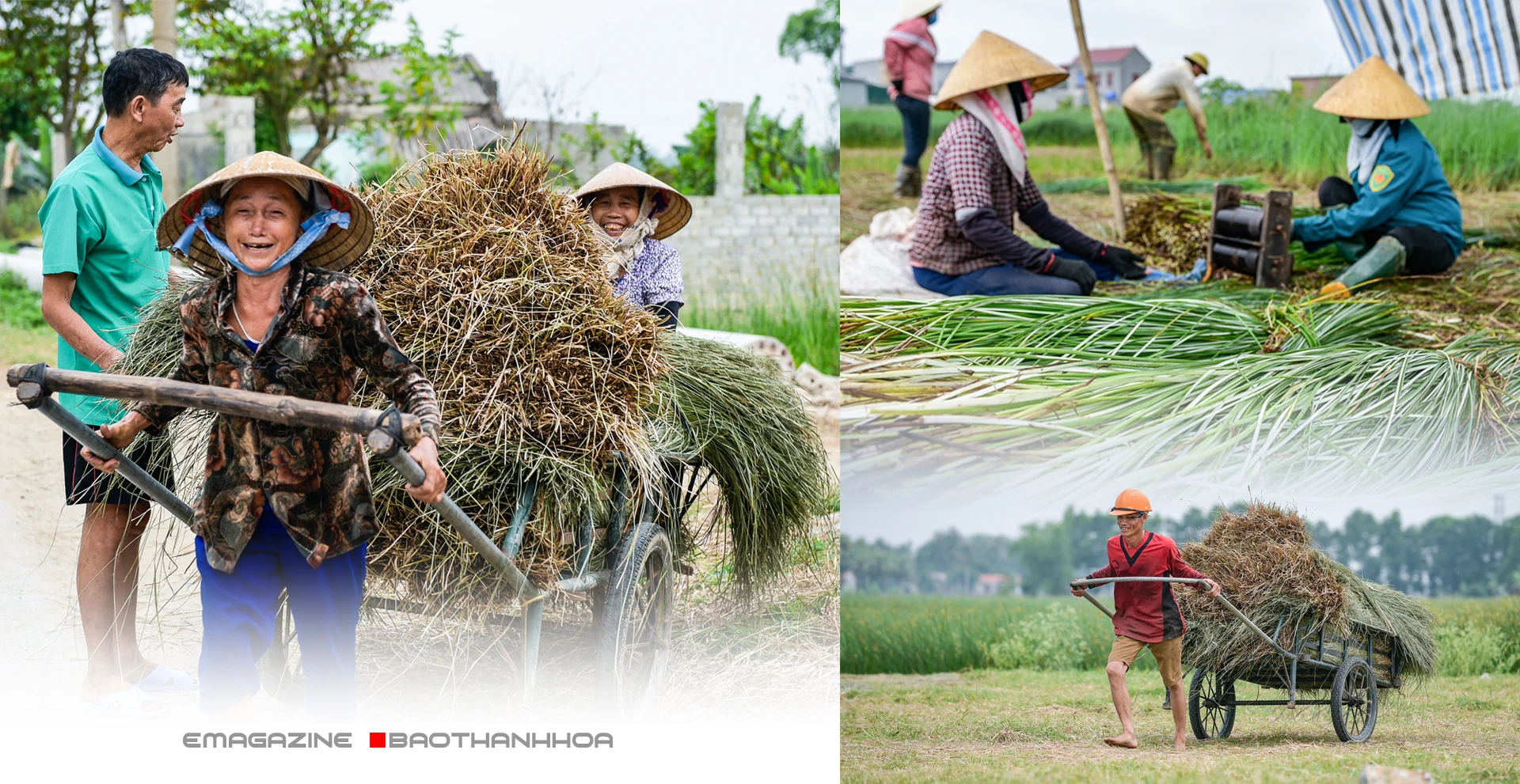 [E-Magazine] - Sắc cói xứ Thanh