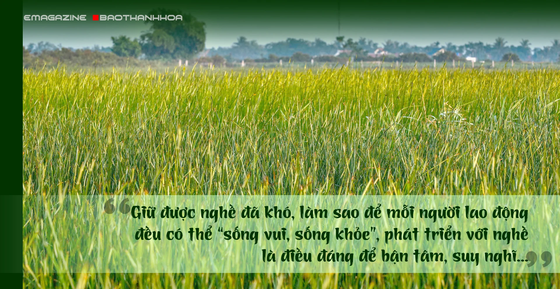 [E-Magazine] - Sắc cói xứ Thanh