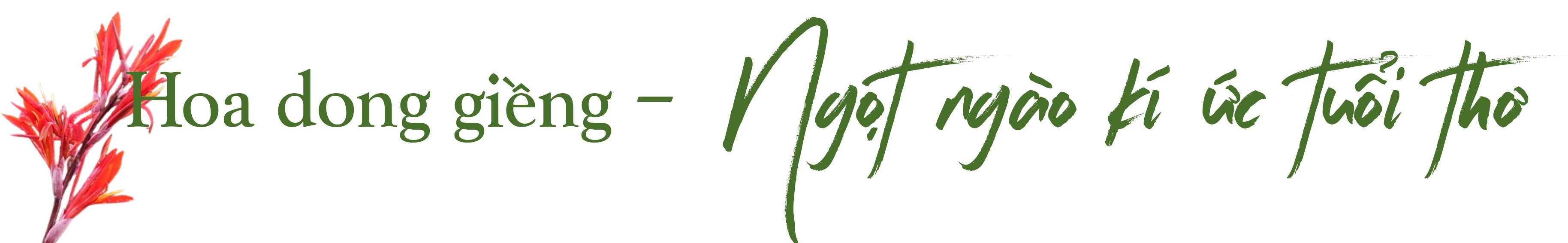 [E-Magazine] - Xao xuyến… những mùa hoa