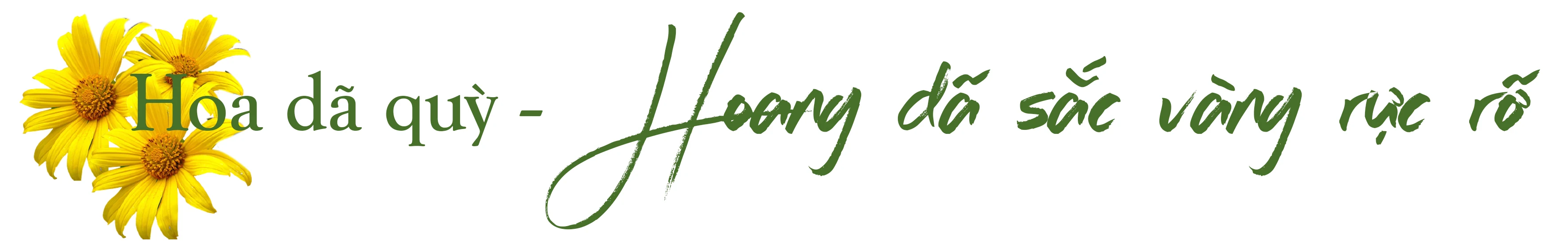 [E-Magazine] - Xao xuyến… những mùa hoa