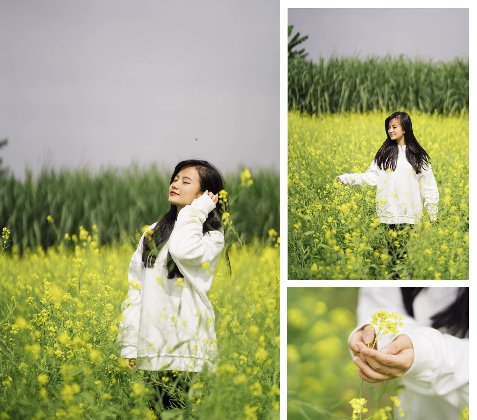 [E-Magazine] - Thương những mùa hoa cải