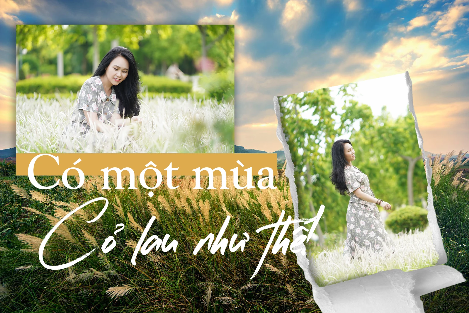 [E-Magazine] - Có một mùa cỏ lau như thế!