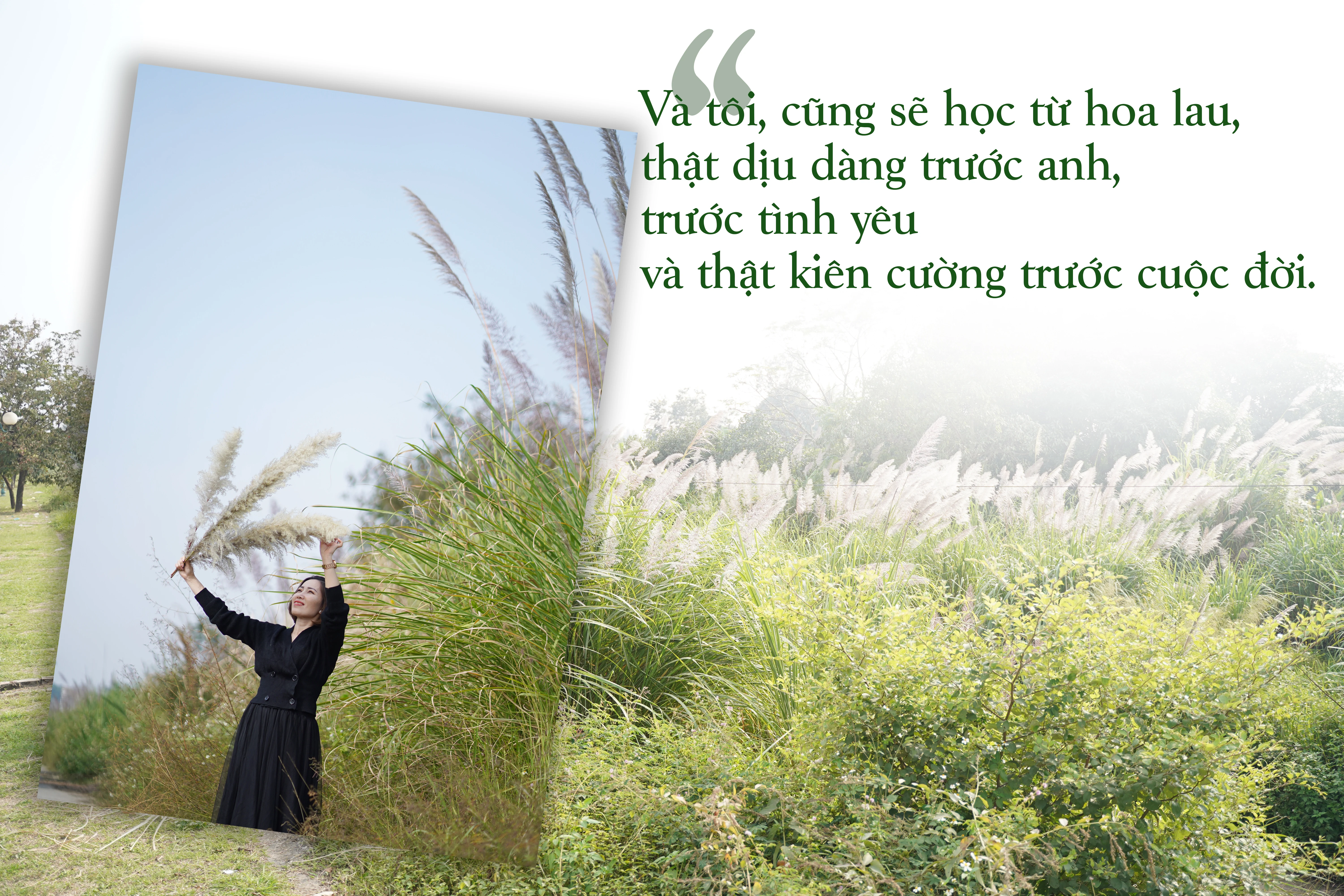 [E-Magazine] - Có một mùa cỏ lau như thế!