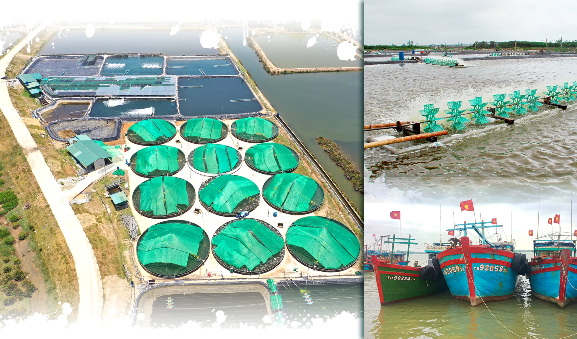 [E-Magazine] - Huyện nông thôn mới Hoằng Hóa - Khởi sắc trên quê hương hiếu học