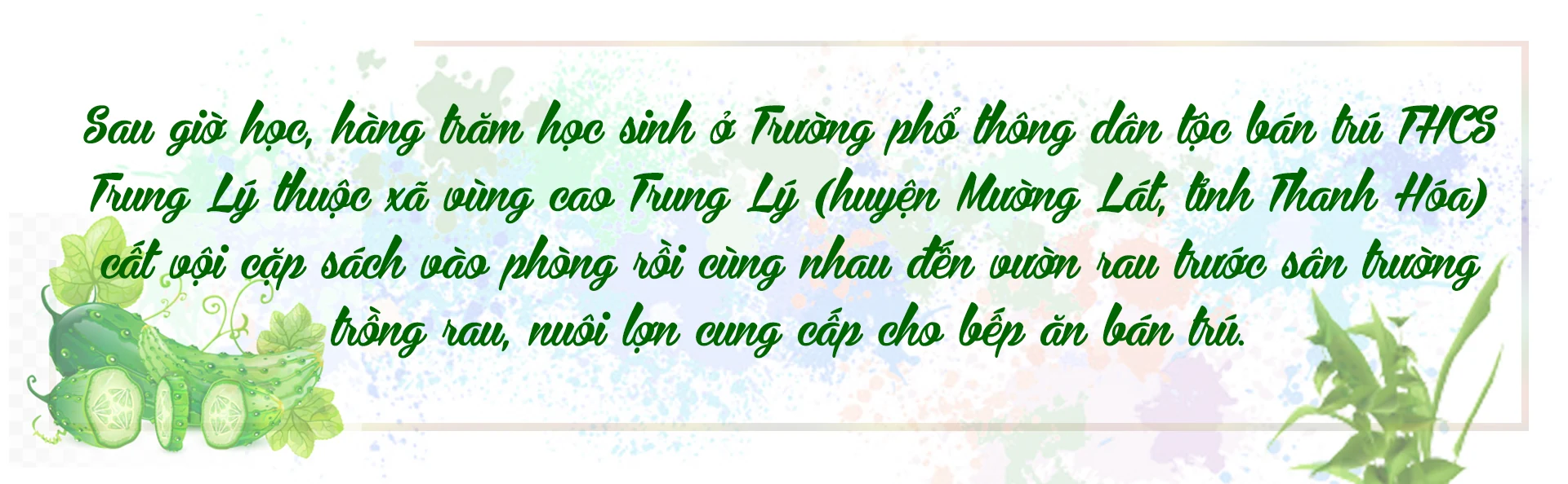 [E-Magazine] - Vườn rau sạch của học sinh vùng cao Xứ Thanh