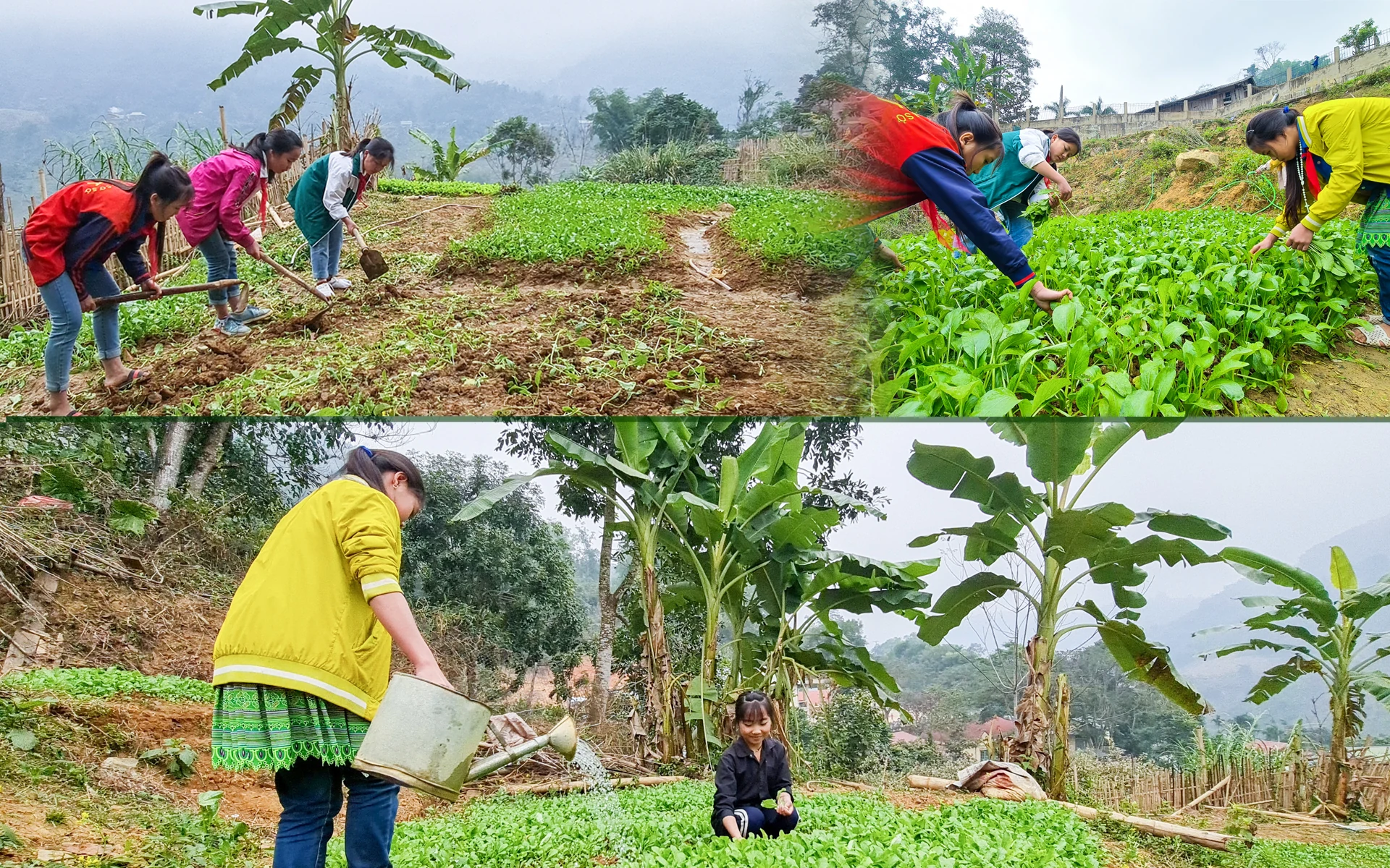 [E-Magazine] - Vườn rau sạch của học sinh vùng cao Xứ Thanh