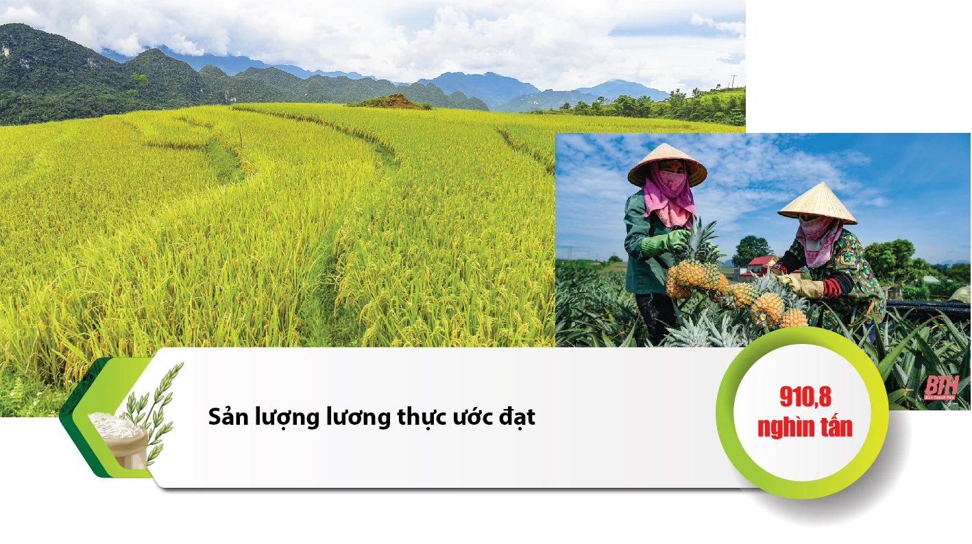 Tổng quan tình hình KT-XH Thanh Hóa 6 tháng đầu năm 2021: Nhiều điểm sáng trong bối cảnh khó khăn chung