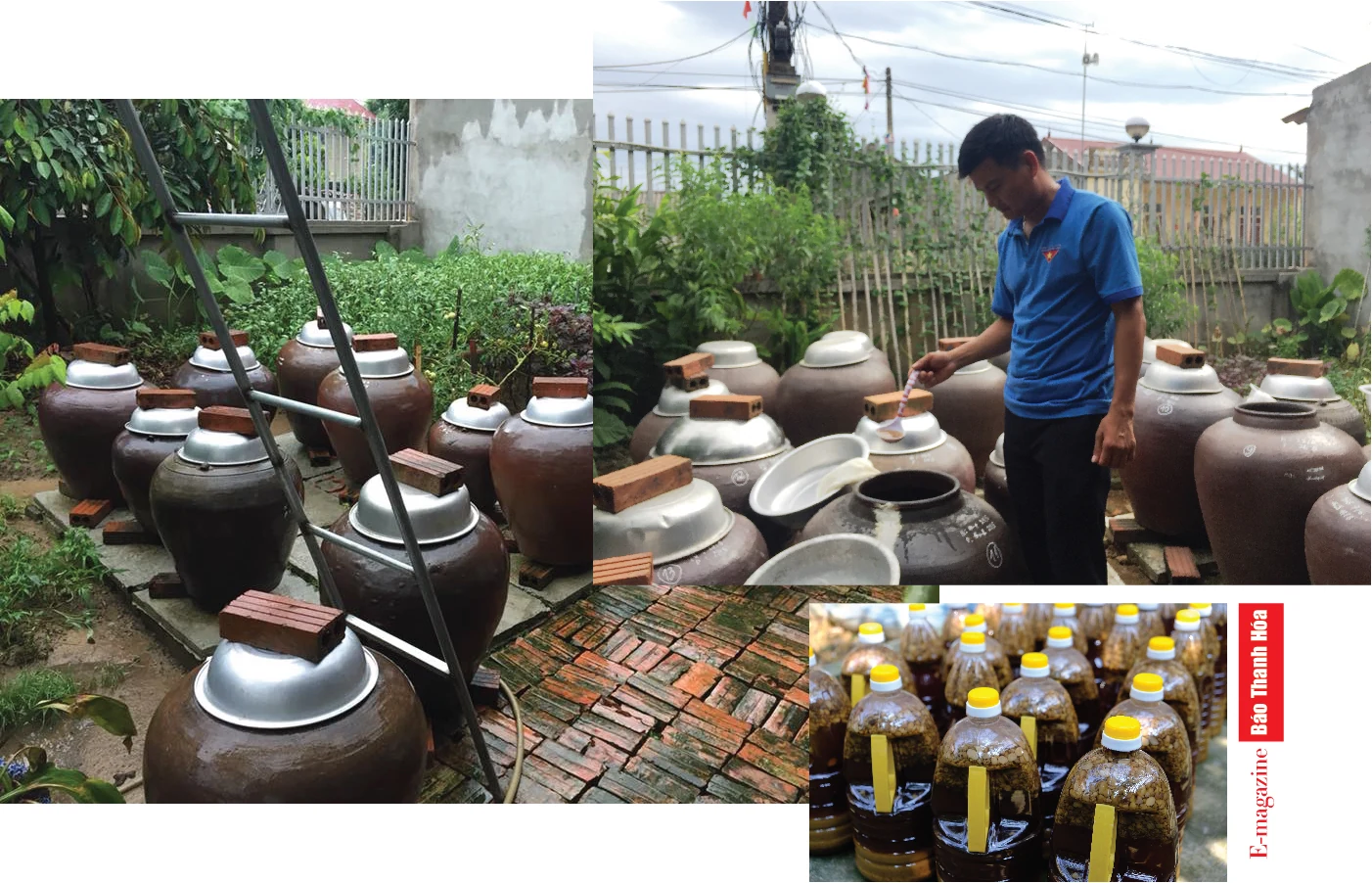 [E-Magazine] - Những đảng viên trẻ xung kích làm theo lời Bác