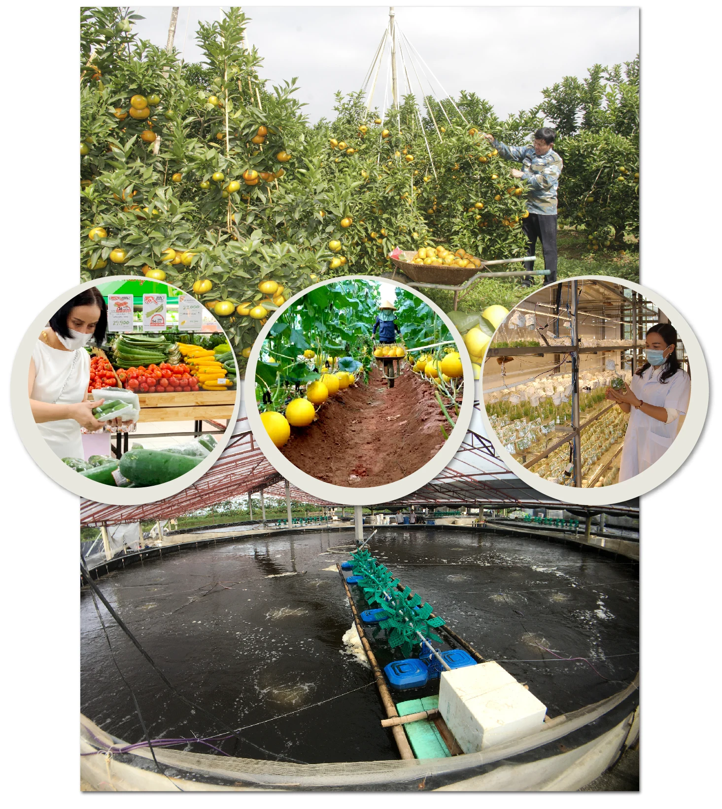 [E-Magazine] - Đường tới “kiểu mẫu”