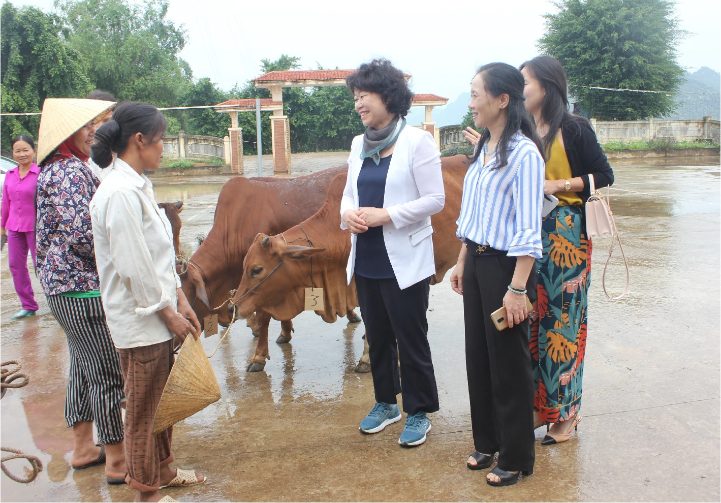 [E-Magazine] - Thanh Hóa - Hàn Quốc tăng cường hợp tác thúc đẩy tình hữu nghị ngày càng phát triển và bền chặt