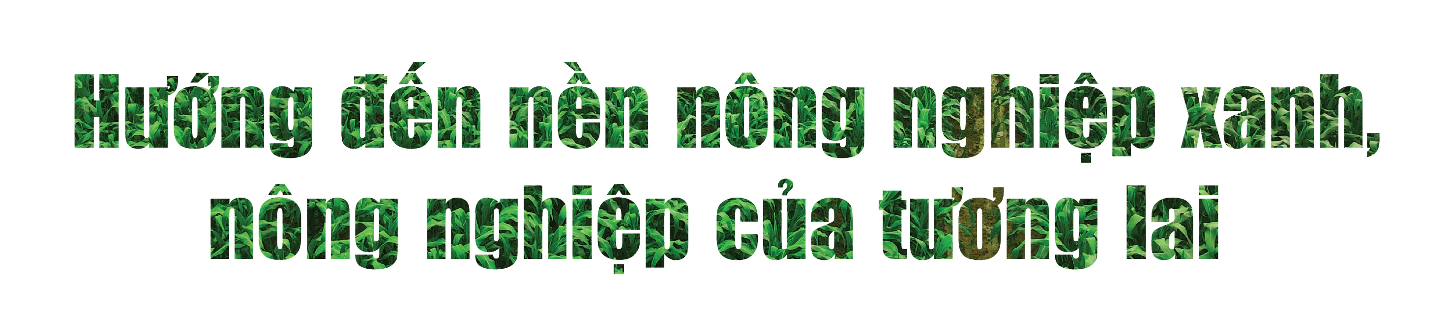 [E-Magazine] - Trang trại sinh thái Vinamilk Green Farm tại Thanh Hóa: Hướng đến nền nông nghiệp xanh, nông nghiệp của tương lai