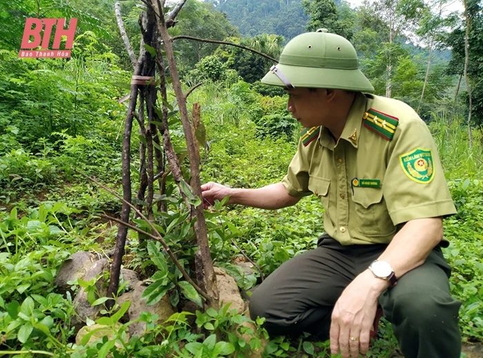 [E-Magazine] - Nghị quyết của Ban Chấp hành Đảng bộ tỉnh Thanh Hóa về phương hướng, nhiệm vụ năm 2024