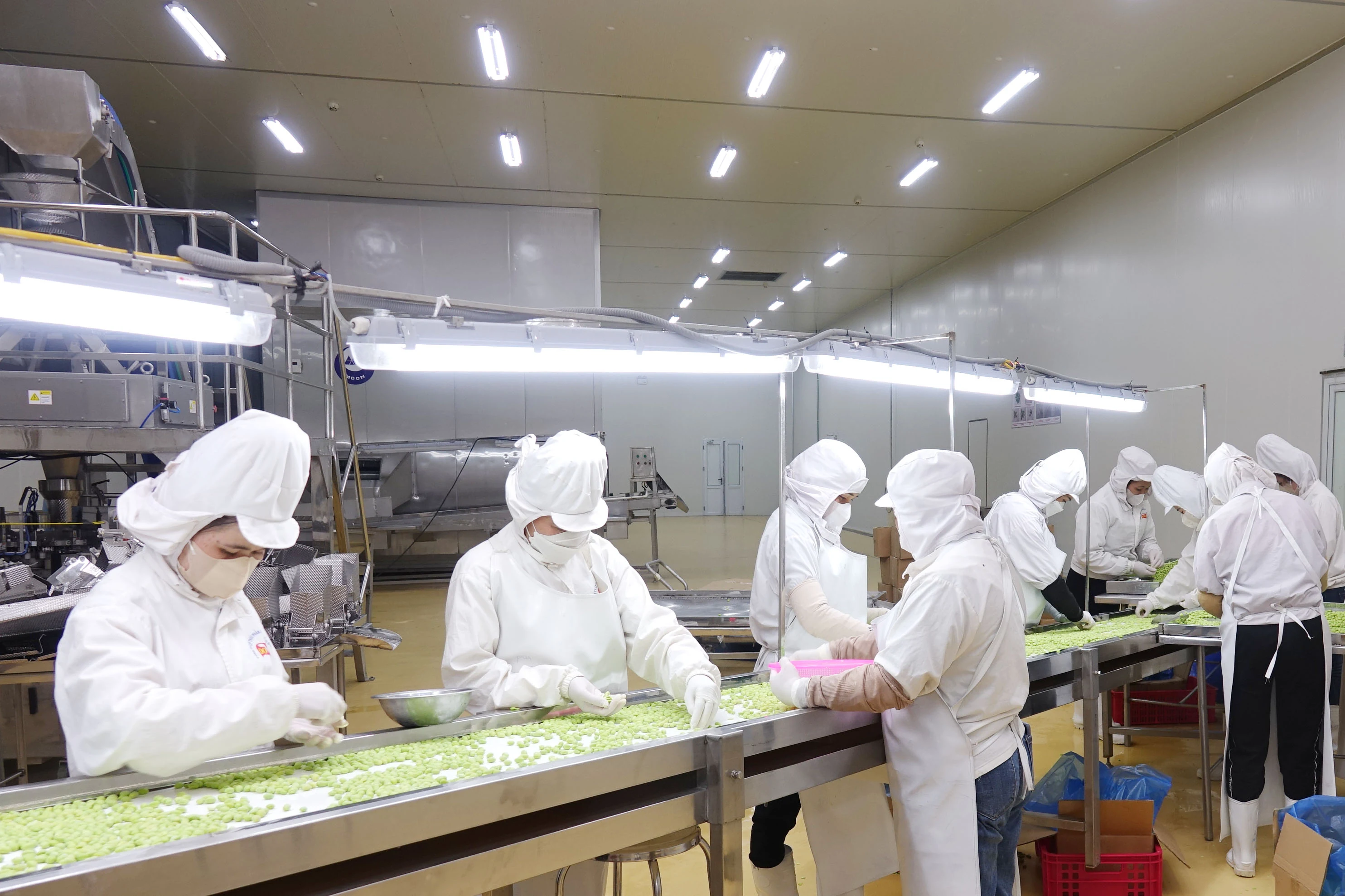 [E-Magazine] – Quy hoạch tỉnh Sơn La thời kỳ 2021-2030 tầm nhìn 2050