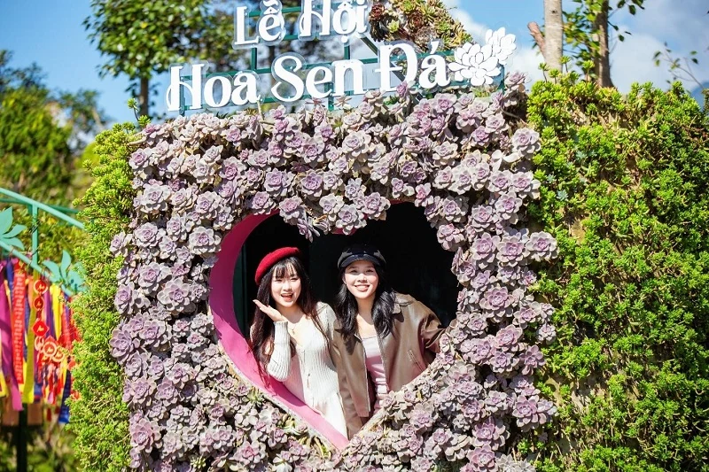 Fansipan rực rỡ sắc màu lễ hội hoa sen đá, giá vé cáp treo chỉ còn 550.000 đồng