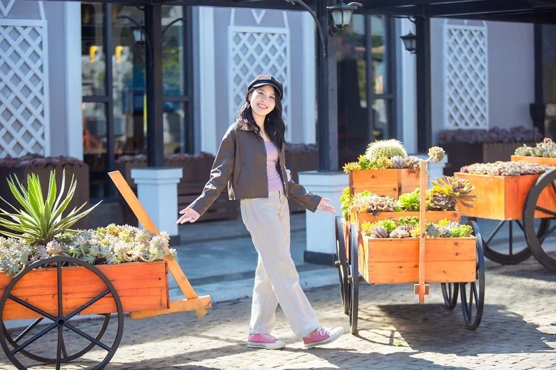 Fansipan rực rỡ sắc màu lễ hội hoa sen đá, giá vé cáp treo chỉ còn 550.000 đồng