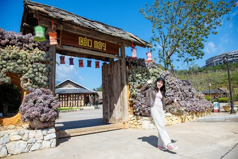 Fansipan rực rỡ sắc màu lễ hội hoa sen đá, giá vé cáp treo chỉ còn 550.000 đồng