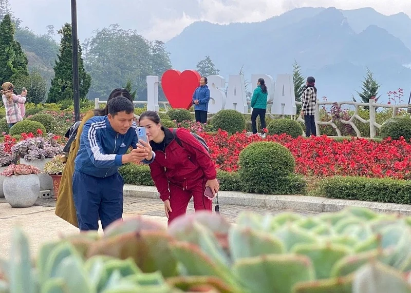 Fansipan rực rỡ sắc màu lễ hội hoa sen đá, giá vé cáp treo chỉ còn 550.000 đồng