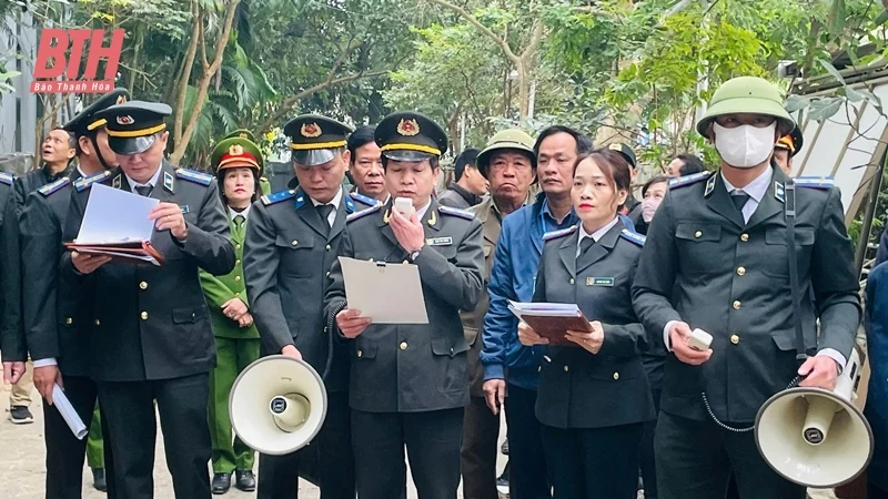 Cưỡng chế thi hành án đối với Công ty TNHH Tây Đô