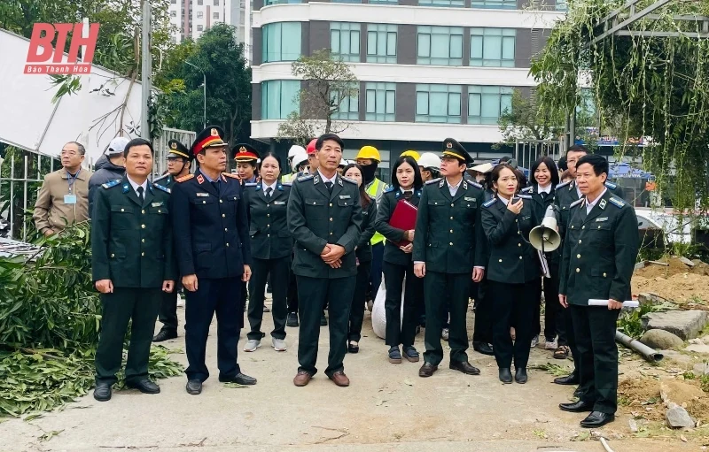 Cưỡng chế thi hành án đối với Công ty TNHH Tây Đô