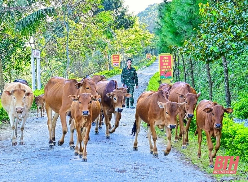 Thăm Đảo Mê anh hùng 