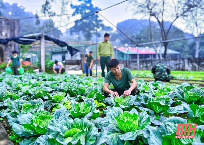 Thăm Đảo Mê anh hùng 