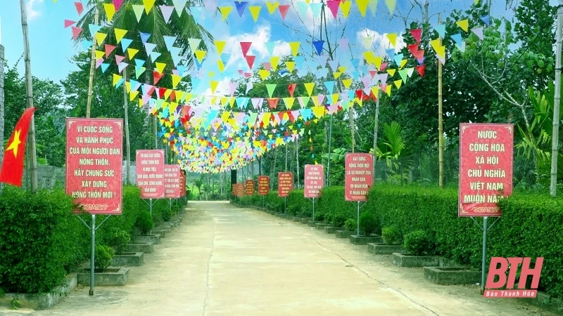 Thỏa mắt với hàng rào xanh ở huyện miền núi Ngọc Lặc