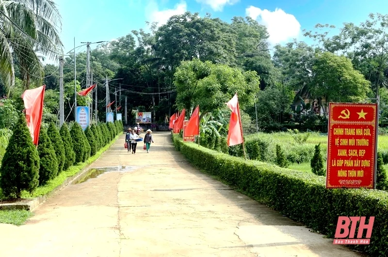 Thỏa mắt với hàng rào xanh ở huyện miền núi Ngọc Lặc