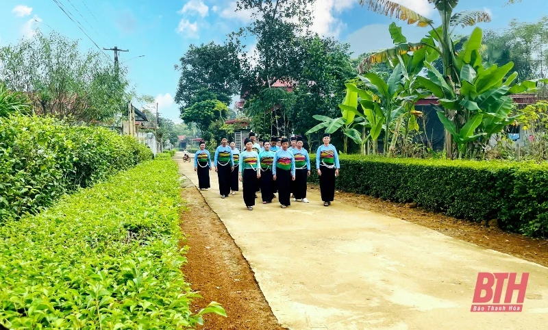 Thỏa mắt với hàng rào xanh ở huyện miền núi Ngọc Lặc