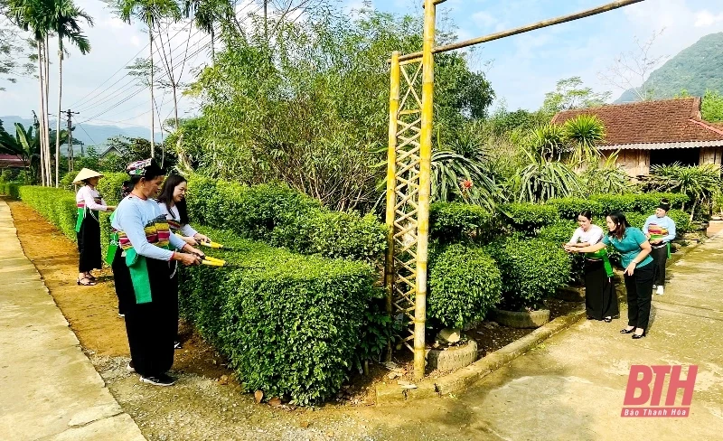 Thỏa mắt với hàng rào xanh ở huyện miền núi Ngọc Lặc