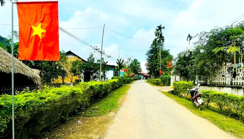 Thỏa mắt với hàng rào xanh ở huyện miền núi Ngọc Lặc