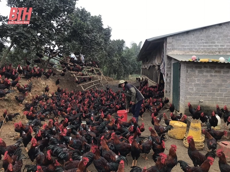 Xây dựng nông thôn mới ở xã Ái Thượng