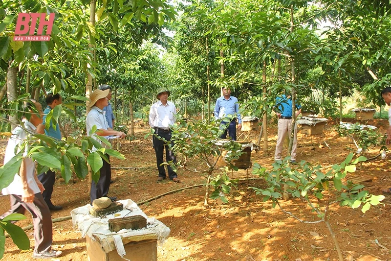 Bất cập phát triển nông nghiệp hiện đại (Bài cuối): Cần cuộc “cách mạng” đổi mới