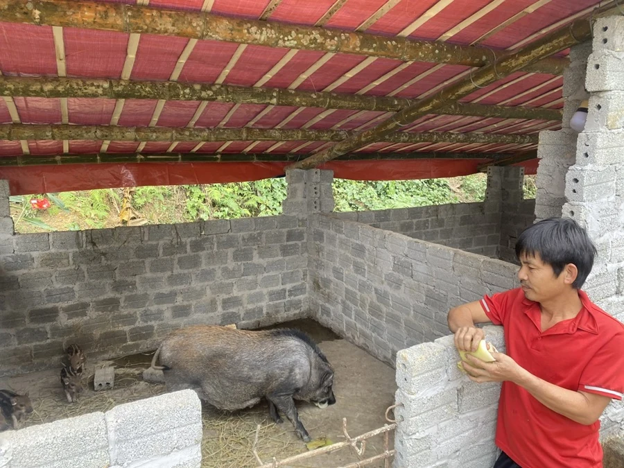 Xây dựng nông thôn mới ở xã Ái Thượng