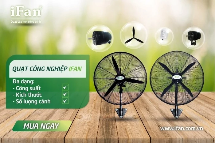 iFan Group: Đơn vị cung cấp quạt công nghiệp số 1 Việt Nam