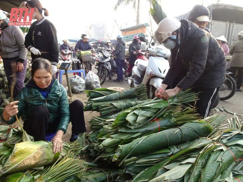 Lá dong rừng xuống phố